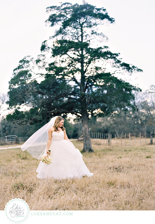 Full length bridal portait by cedar tree with veil blowing in the wind.