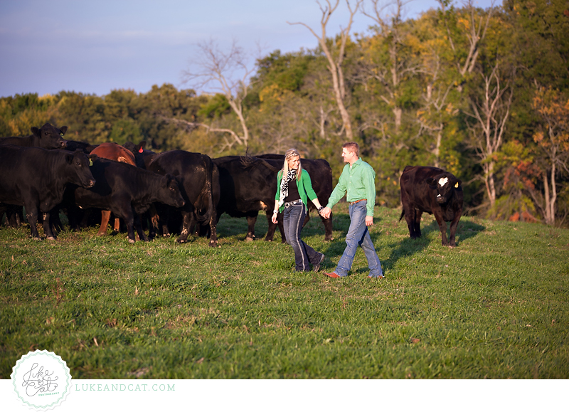 cattle engagement session